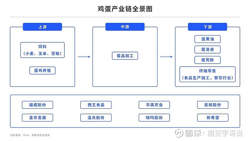 5月8日鸡蛋期货持仓龙虎榜分析：鸡蛋主力处于净空头状态
