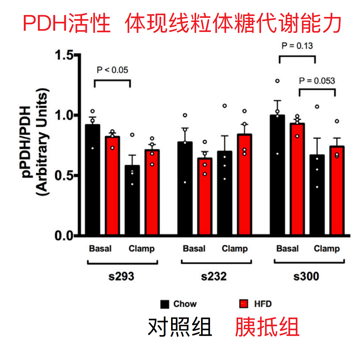 糖价抵抗式下跌为主 存在反弹可能