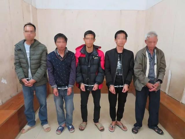 人保财险 ,人保护你周全_中国助燃剂行业深度调研及投资机会分析