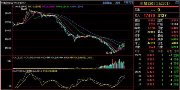 5月31日生猪期货持仓龙虎榜分析：多方进场情绪弱于空方