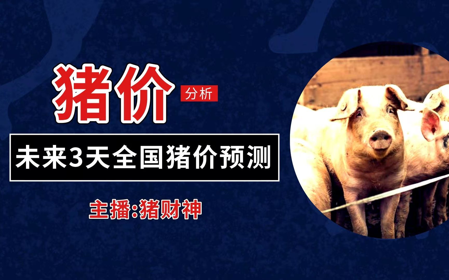 人保伴您前行,人保有温度_猪价呈现“破8冲9”的局面，“火箭猪”引发热议 中国生猪养殖行业发展趋势与投资价值评估