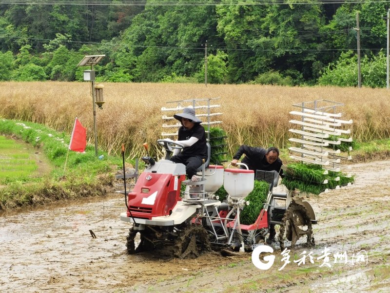 【盘中播报】信宇人盘中涨停