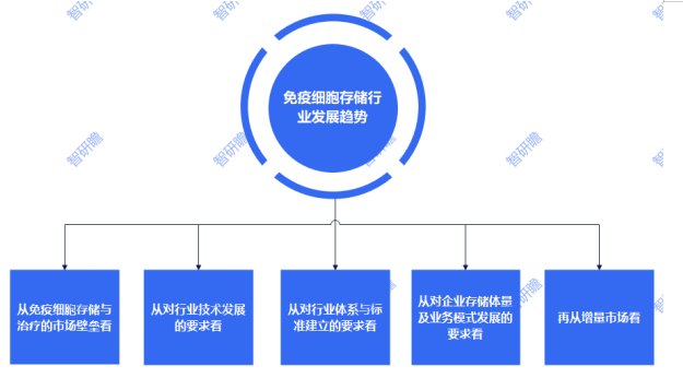 2024安全培训行业市场发展现状调研及投资前景预测_人保车险   品牌优势——快速了解燃油汽车车险,人保有温度