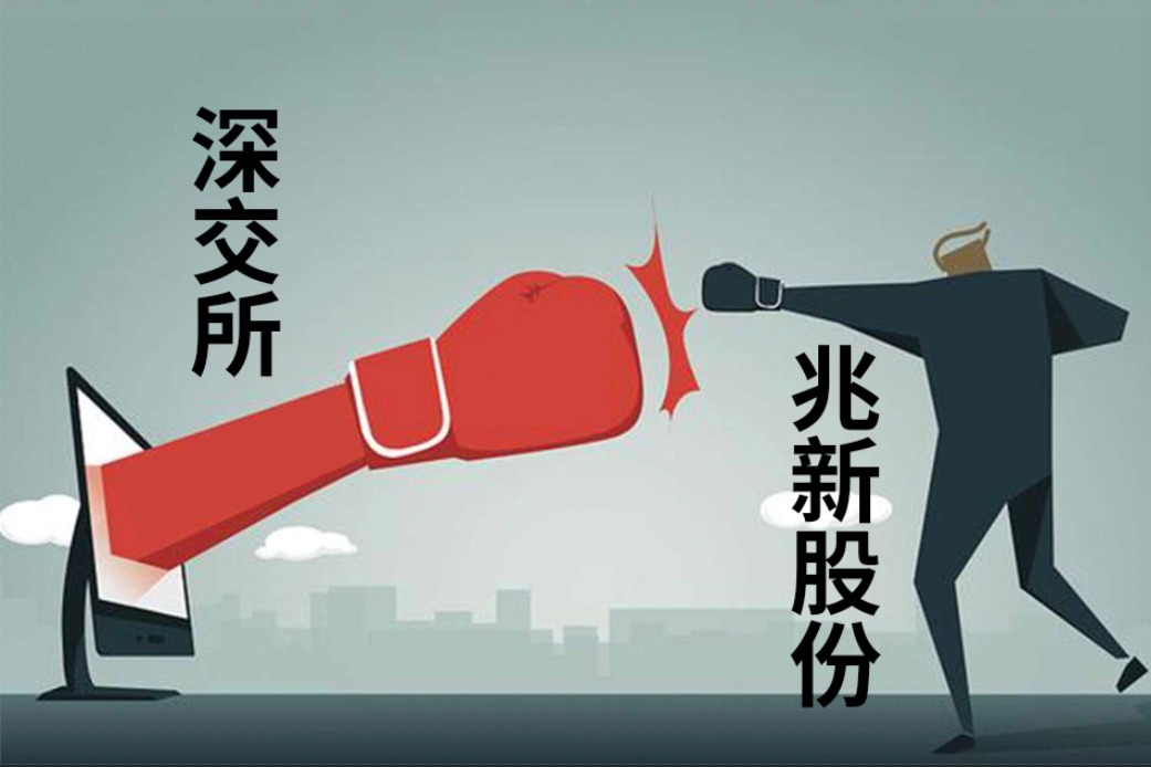 兆新股份：第一大股东承诺特定条件下不减持公司股份