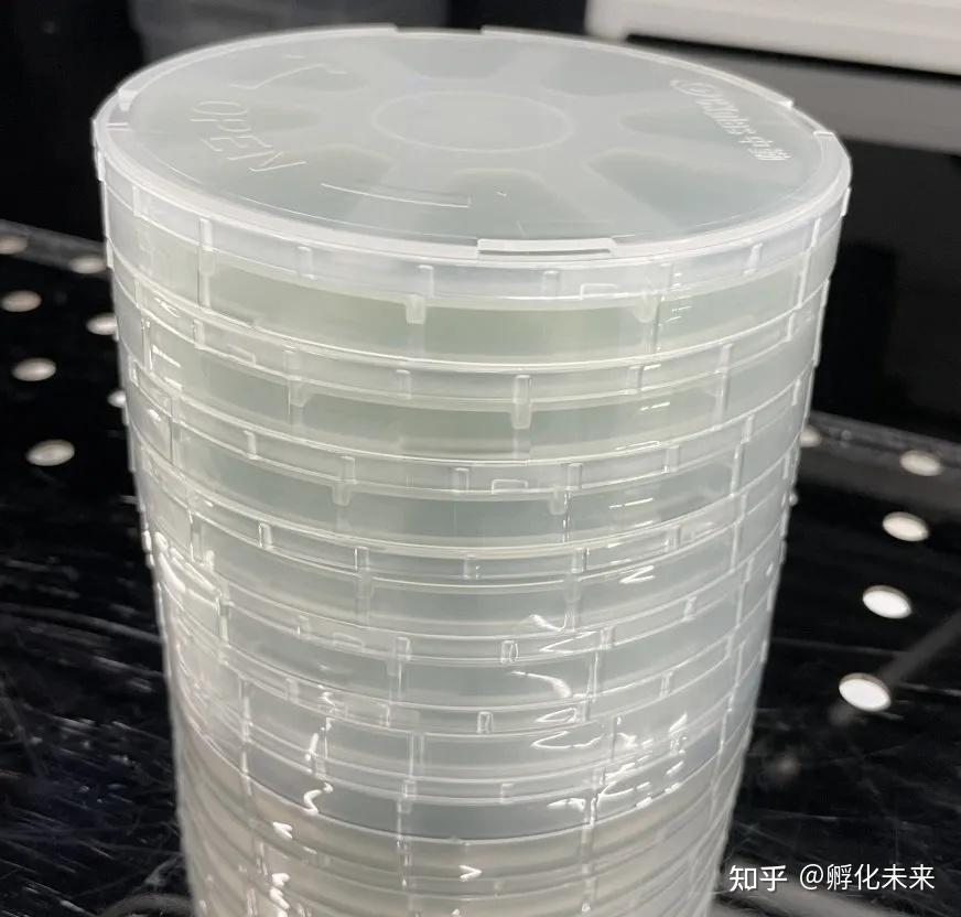 最贵ST股陨落，摘牌倒计时！“科特估”持续受关注，半导体公司开启“喜报潮”，22股未来业绩有望翻倍