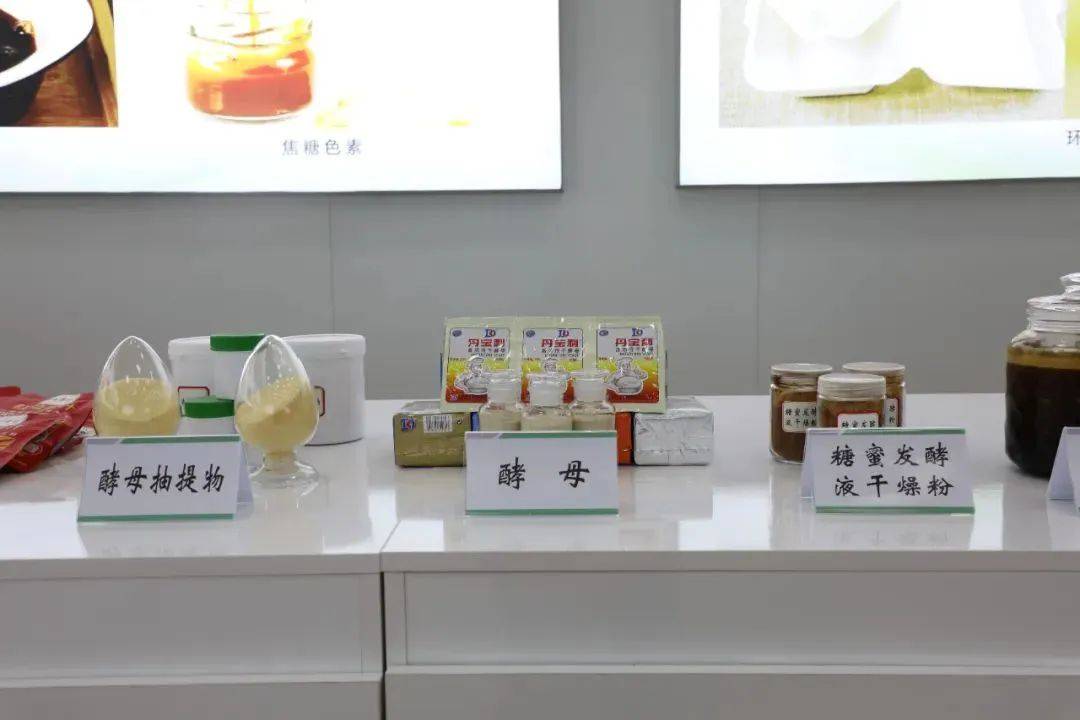 保险有温度,拥有“如意行”驾乘险，出行更顺畅！_2024鳗鱼市场发展现状、前景趋势研究分析