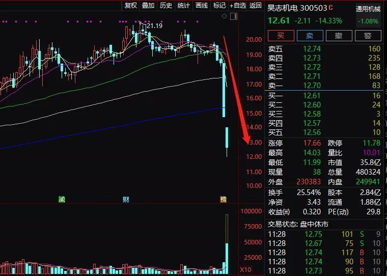 “20cm”跌停！注意了，不操作或再吃一个跌停板