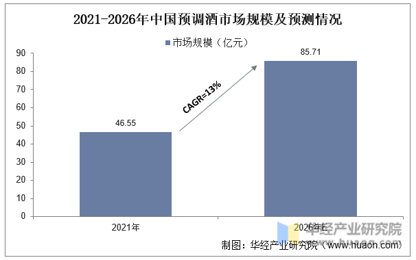 2024中国电子音响行业市场现状、前景趋势研究分析_人保伴您前行,人保财险 