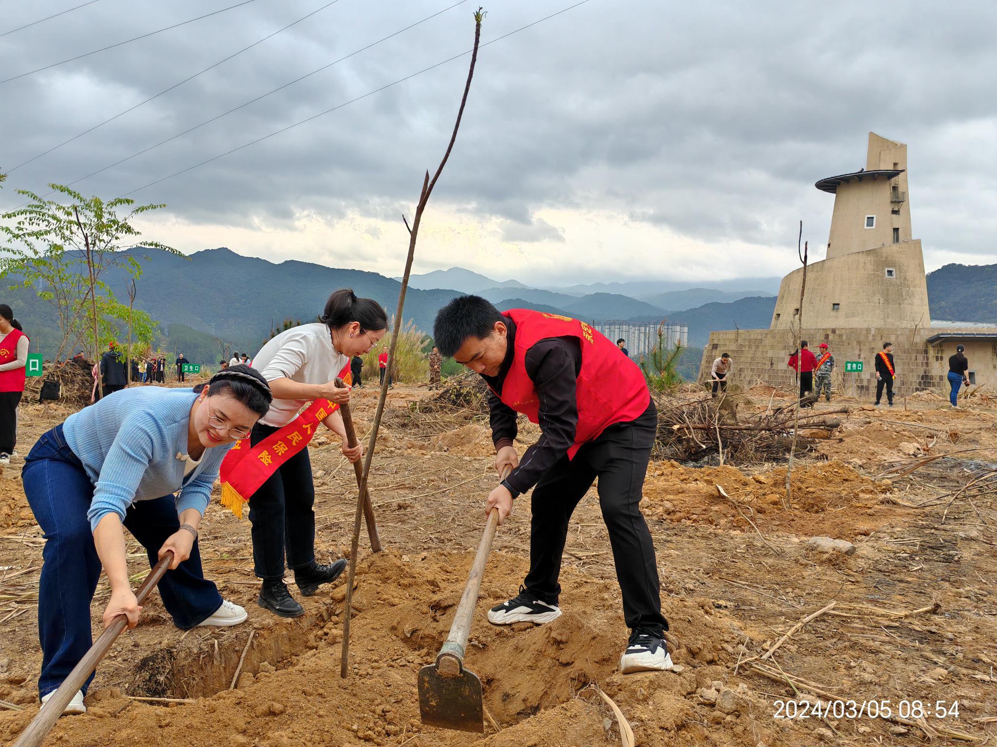 2024年中国新能源汽车行业的市场发展现状及投资风险分析_人保服务 ,人保财险政银保 