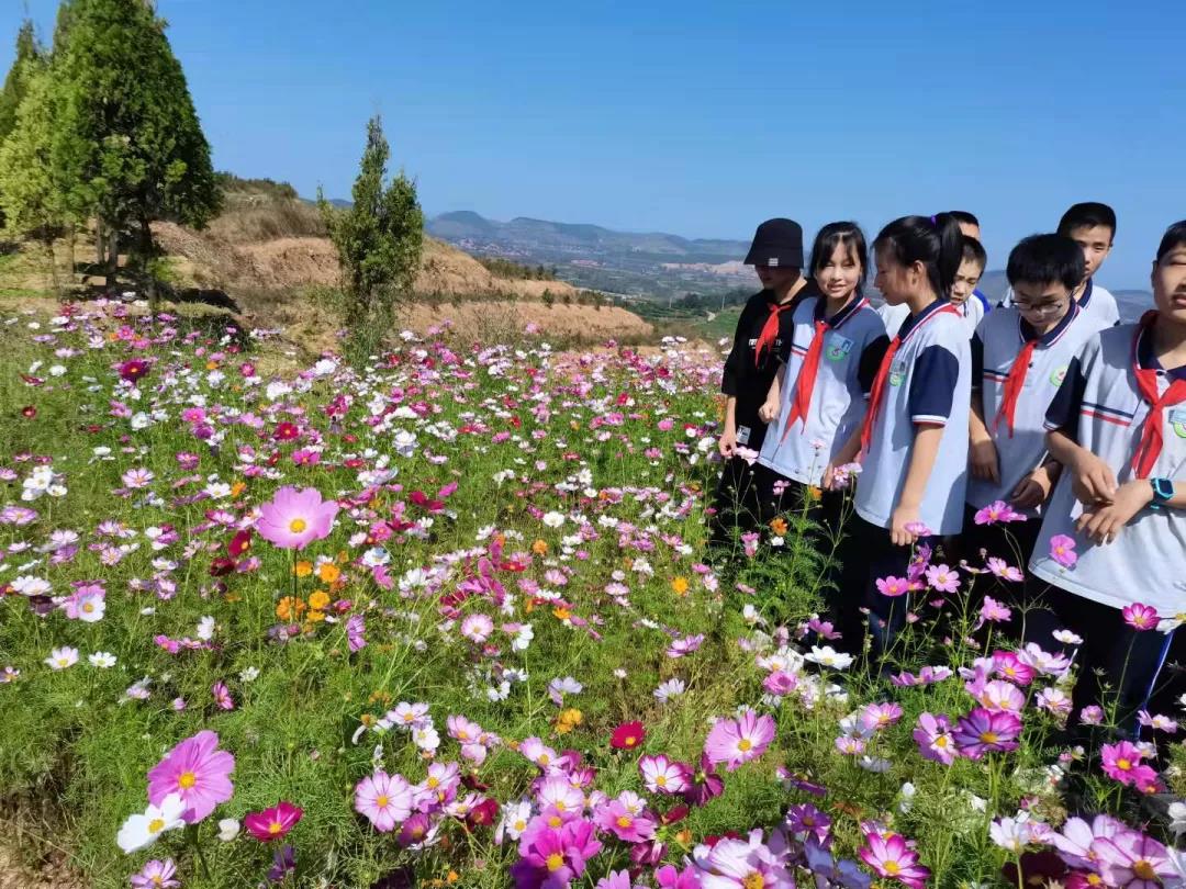 农业农村部：鼓励各地依托乡村资源举办亲子研学等活动