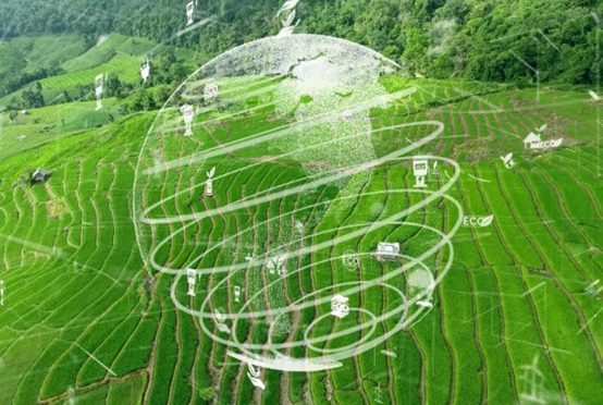 碳金融行业未来趋势预测 碳金融行业的市场规模将持续扩大_人保车险,人保有温度