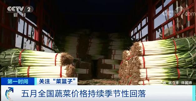 人保服务 ,人保伴您前行_全国蔬菜价格开始回落 2024年大白菜市场行情分析