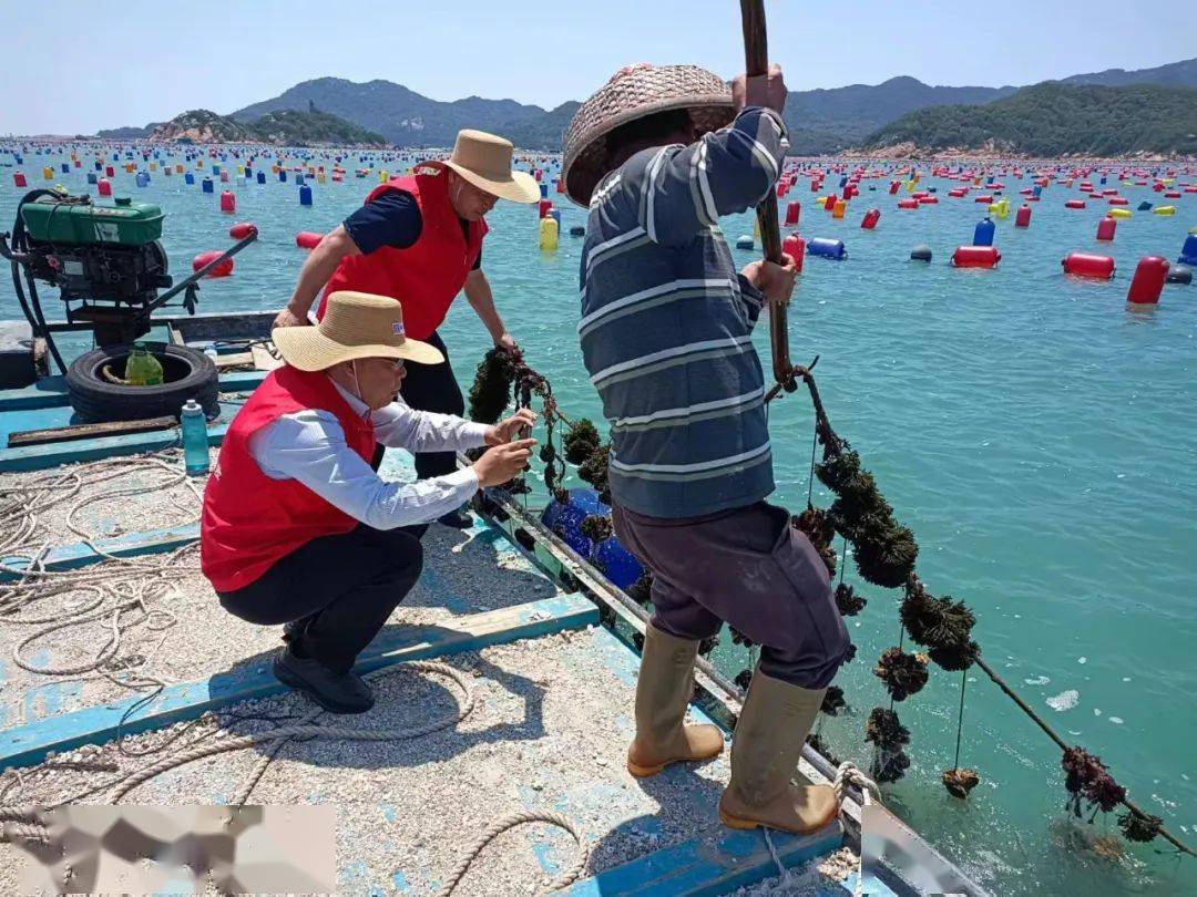 2024年海洋牧场行业发展环境及未来市场前景分析_人保服务 ,人保有温度