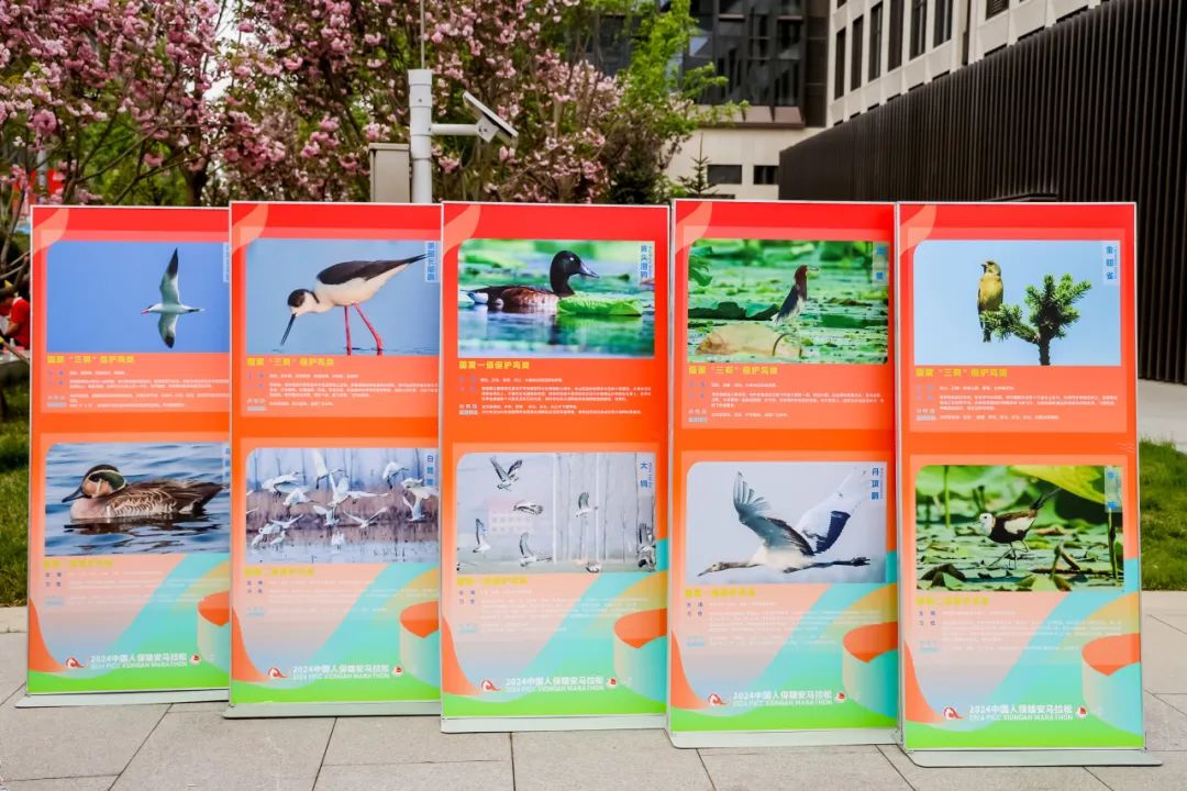 人保财险政银保 ,人保有温度_2024中国无纺布行业市场竞争分析与发展前景预测