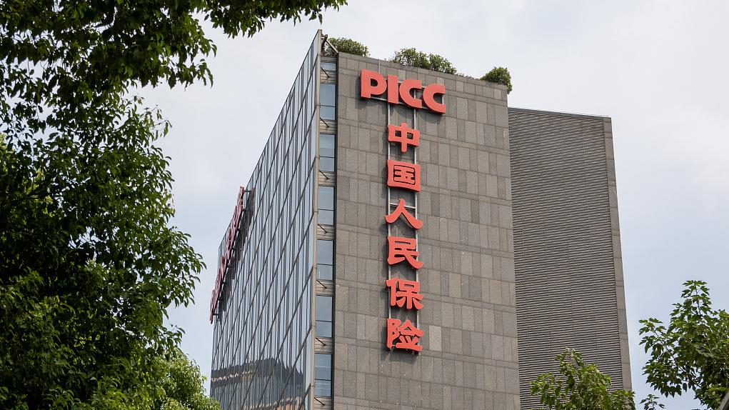 中国清洁剂市场供需调查与投资潜力研究_保险有温度,人保财险政银保