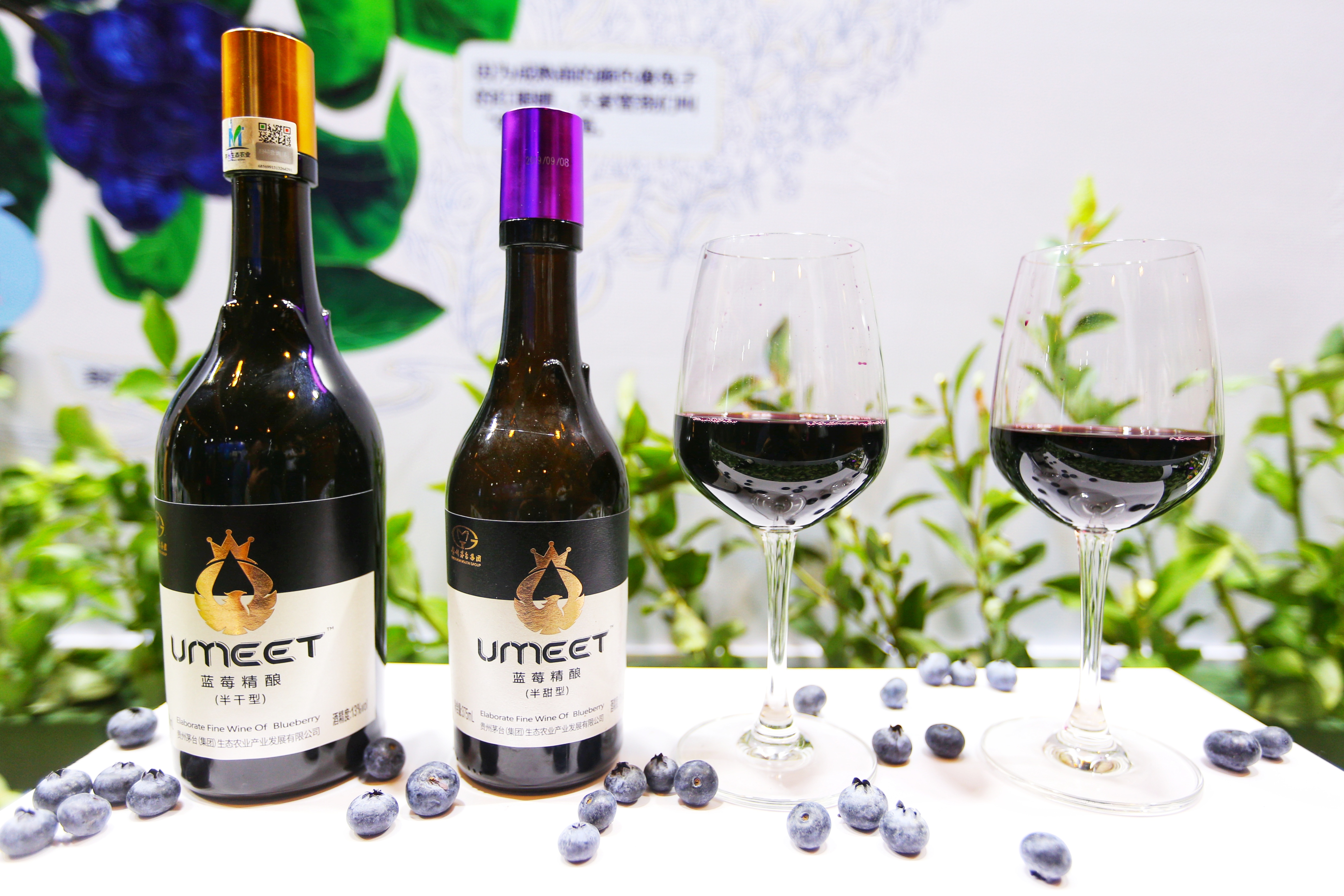 中国蓝莓酒行业深度调研及投资机会分析_人保财险政银保 ,人保服务