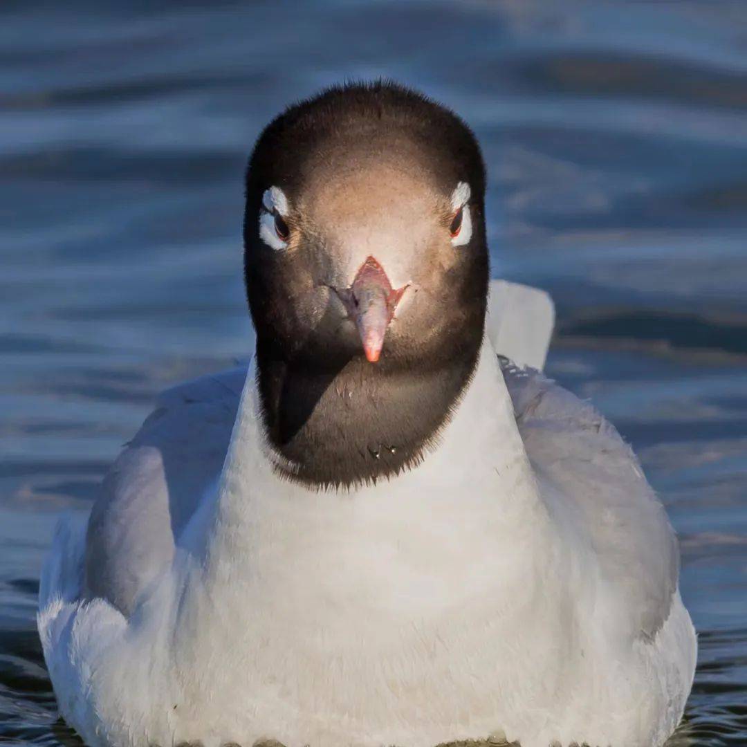 2024实景三维行业市场现状及竞争格局、发展前瞻分析_人保财险政银保 ,人保护你周全