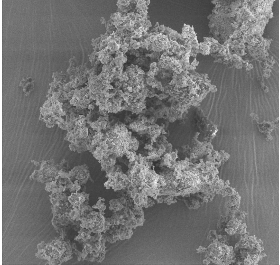 我国科学家成功制备可加速骨修复的植入物材料