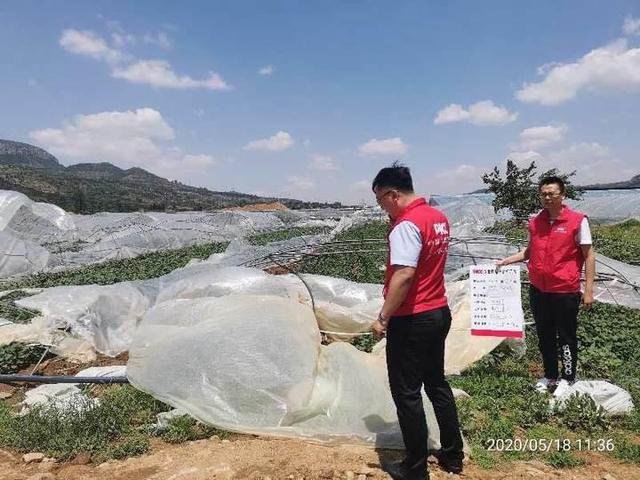 2025年红酒杯行业发展趋势及投资分析_人保服务 ,人保护你周全