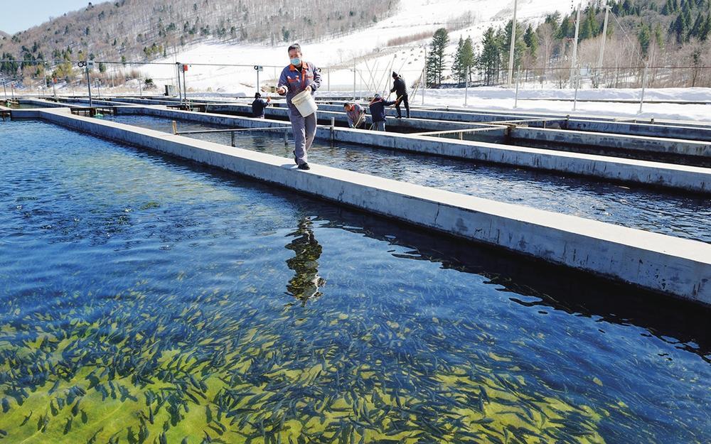 添正生物（832316）：拟转让吉林新添地肥业有限公司的100%股权