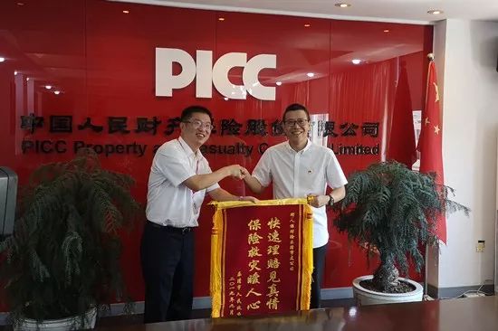 2025中国感冒药行业发展前景及深度调研分析_人保车险,人保财险政银保 