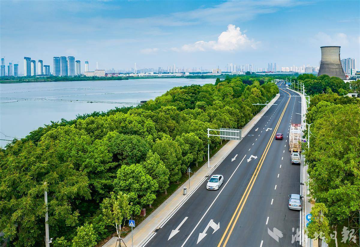 人保服务,拥有“如意行”驾乘险，出行更顺畅！_基因治疗：技术前沿与行业趋势，最新消息一网打尽