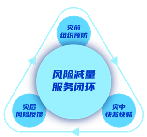 2025年教育大模型行业发展前景及投资战略规划_人保有温度,人保护你周全