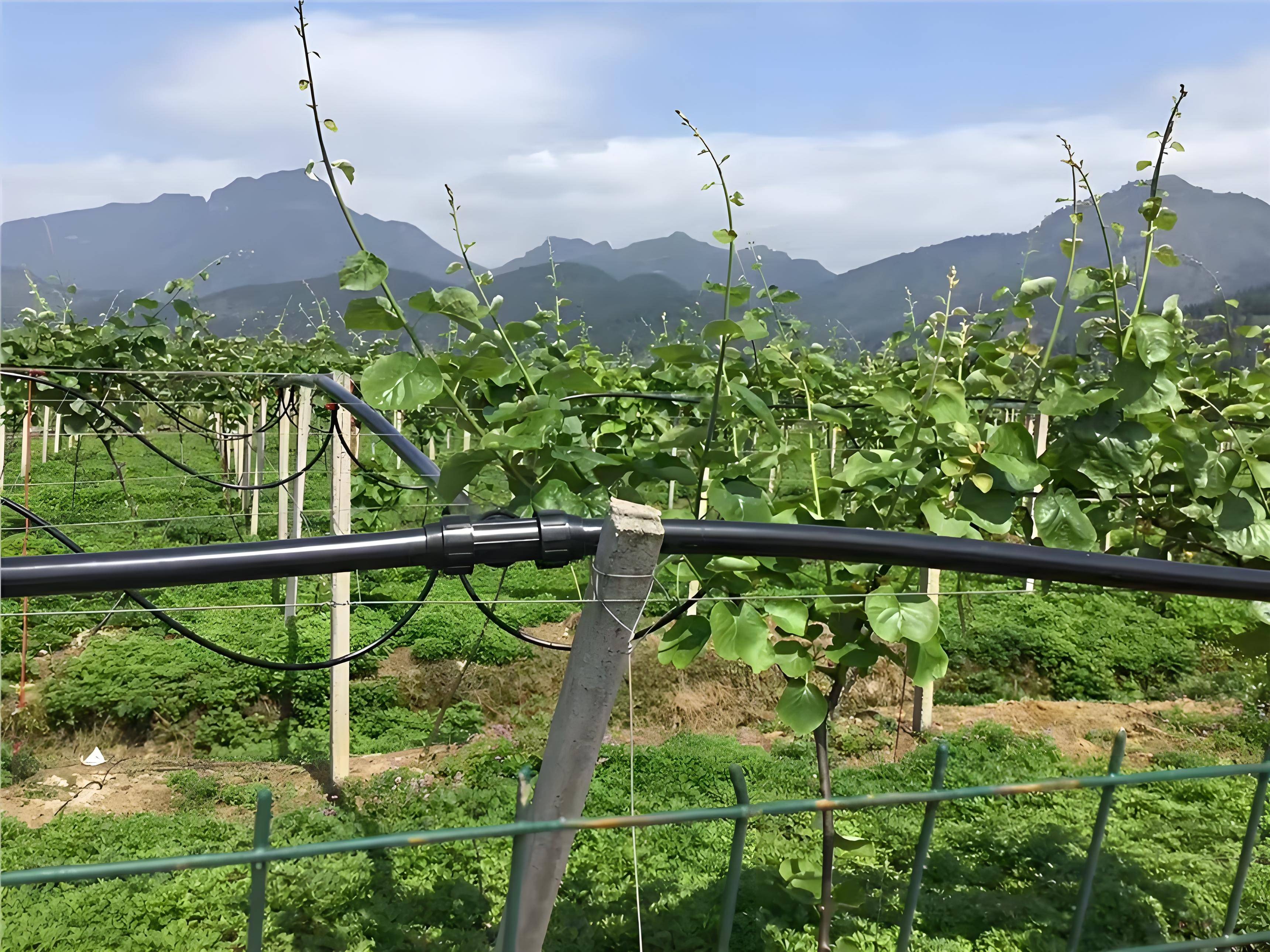 2025智慧城市未来前景：技术革新与绿色转型的双重机遇_人保车险   品牌优势——快速了解燃油汽车车险,人保财险 