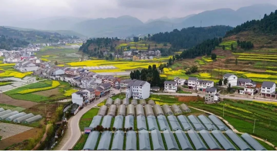 2025乡村旅游：在“乡村振兴”的征途上，你的乡村梦“照进现实”了吗？_人保服务 ,人保有温度