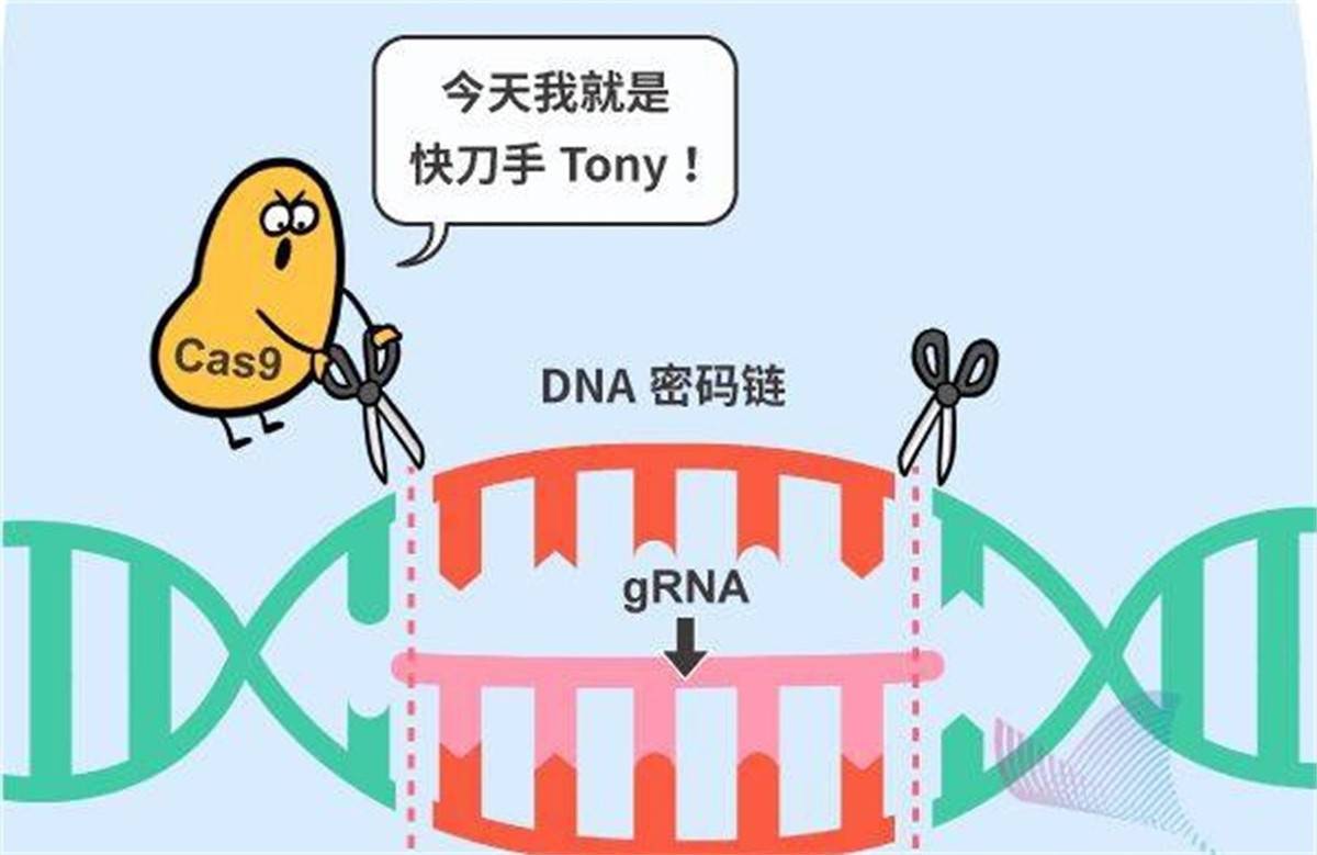 义乌产业体系深度解析报告:全球贸易枢纽的进化密码_保险有温度,人保伴您前行