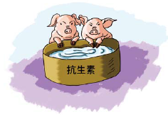 周期反转与技术升级共振，2025年兽用抗生素行业市场深度调研_人保车险   品牌优势——快速了解燃油汽车车险,人保车险