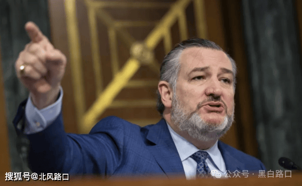 人保车险   品牌优势——快速了解燃油汽车车险,人保车险_特朗普关税风暴下的面粉产业变局与投资新机遇