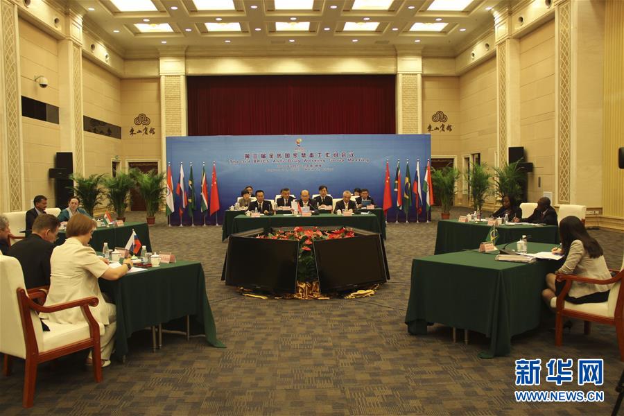 国家能源局负责人出席第十届金砖国家能源部长会