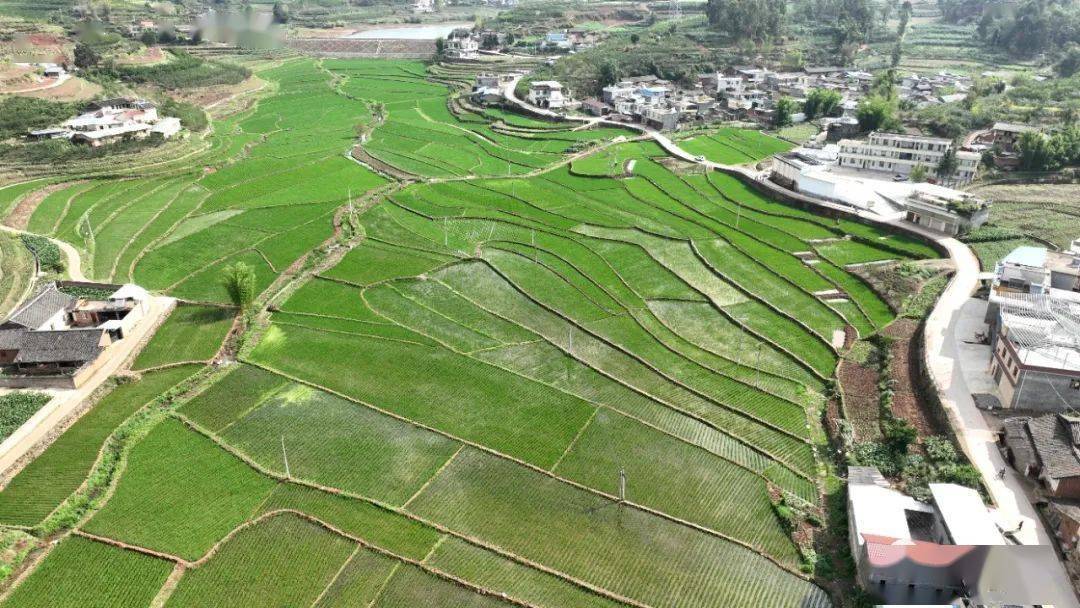 浙江基层渔技员：让更多养殖户端稳科技饭碗