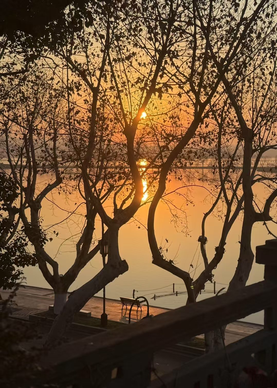 牛散向这家A股公司提议：全球“招聘”控股股东！