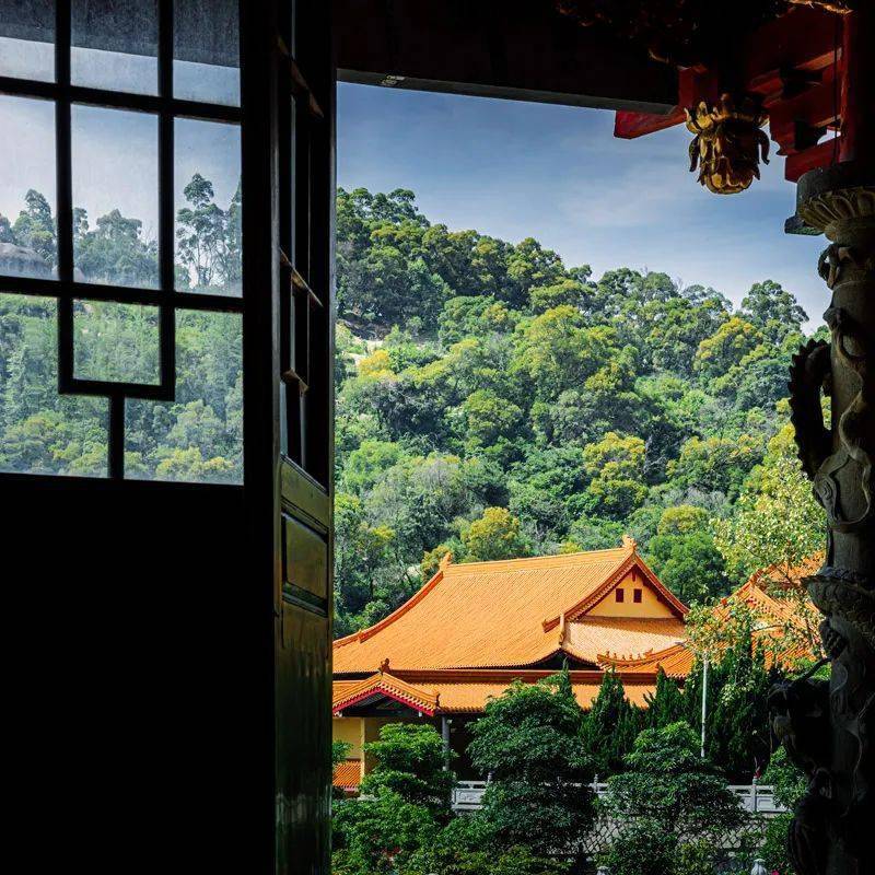 峨眉山A：传统主业萎缩，新兴演艺业务成“拖油瓶”，欲借低空经济转型谋变