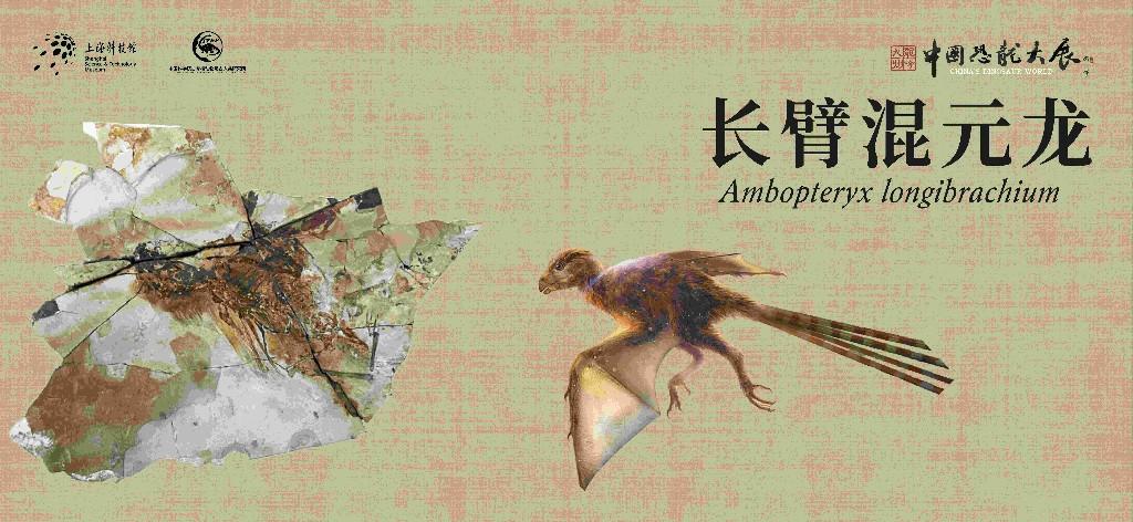 “中国恐龙大展”揭秘中国恐龙生存演化故事