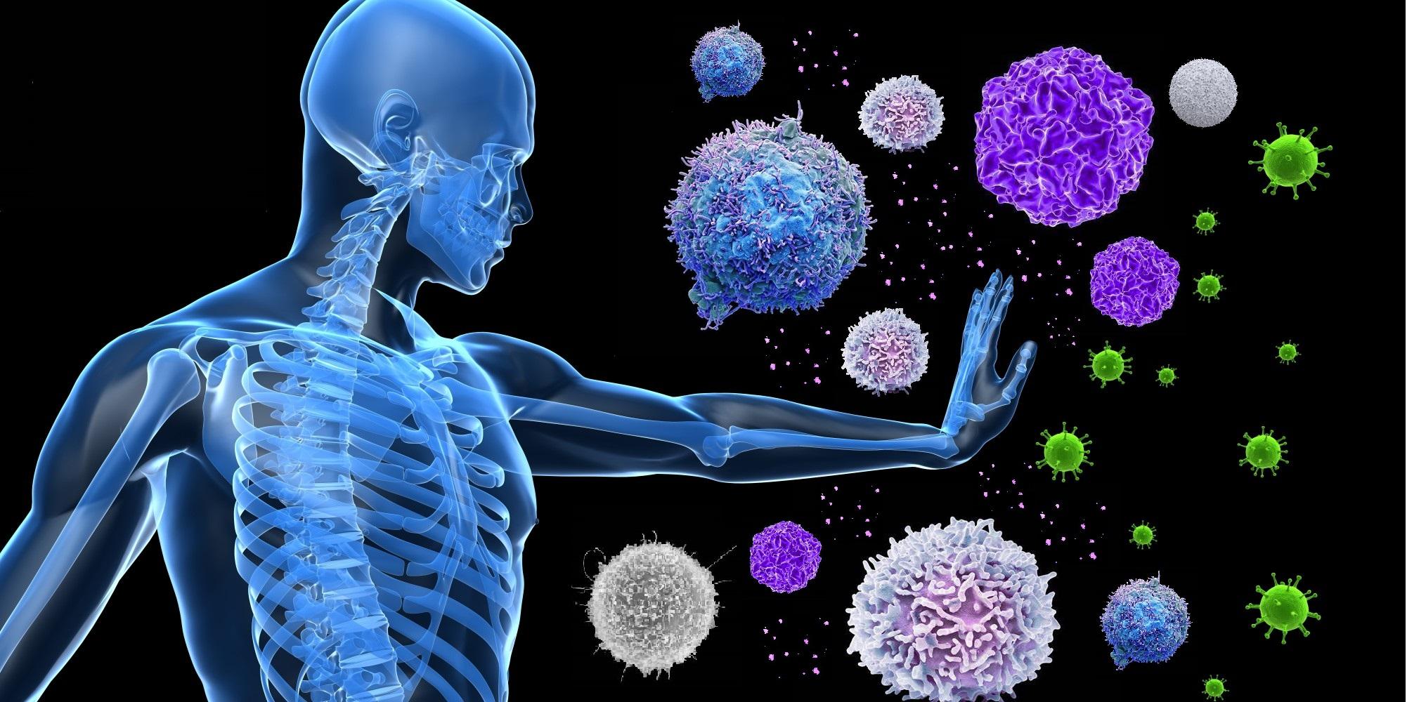 远古发现｜古基因组研究发现：青藏高原人群的“幽灵祖先”竟藏身云南