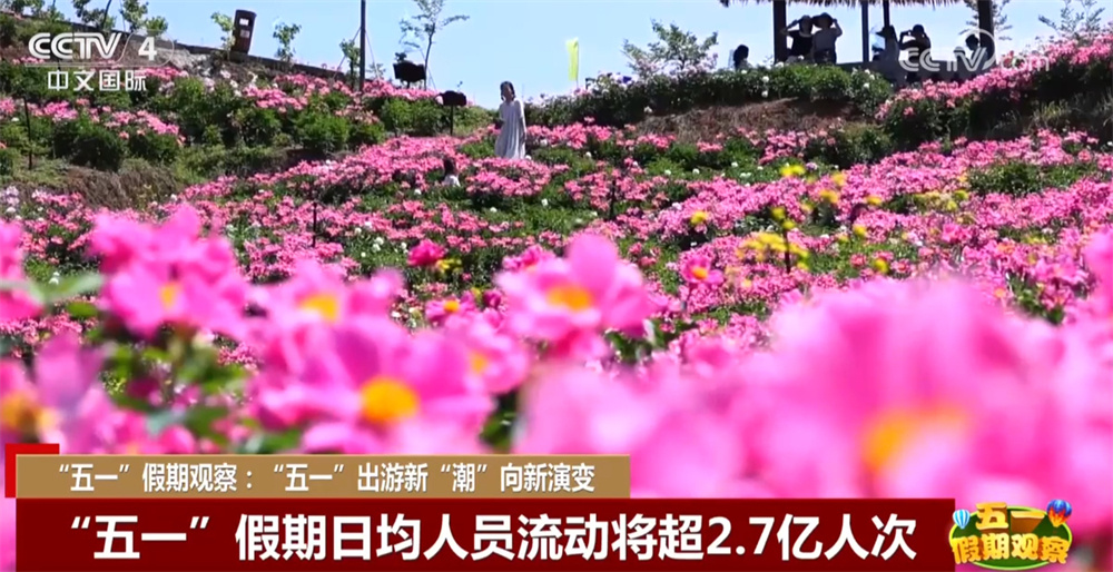 科技“流量”激活文旅“增量”