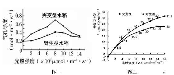 润都股份获得发明专利授权：“一种对映选择性提升的亚胺还原酶突变体及其在生产S-烟碱中的应用”
