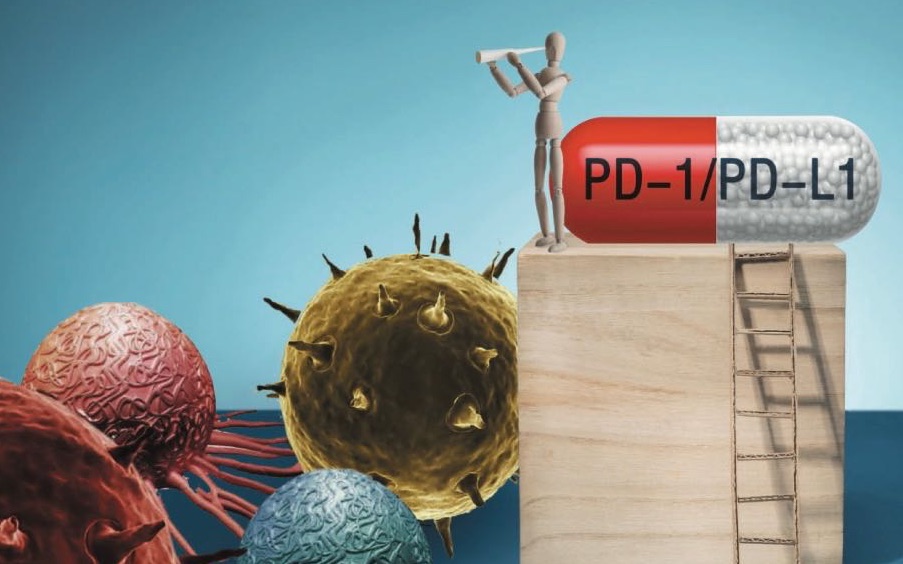 君实生物:JT118注射液临床试验申请获受理