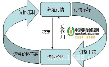 下游市场低迷重创“饲料”主业，新业务难挑大梁，粤海饲料近十年首现亏损