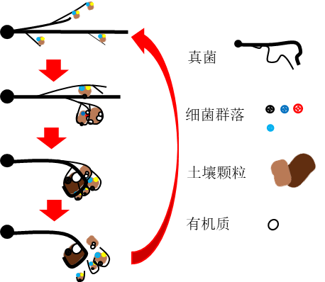 迈克生物获得发明专利授权：“一种用于微液滴制备的控制装置及制备微液滴的方法”