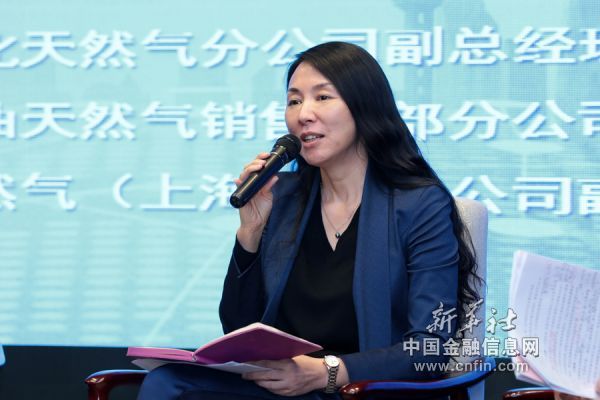 中国武夷：聘任付文达为公司财务总监