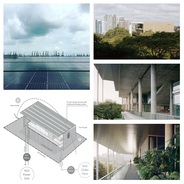 新型“活体建筑材料”可从空气中吸收二氧化碳