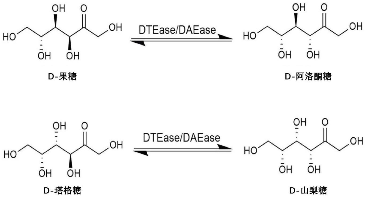 三元生物获得发明专利授权:“一种产品在催化塔格糖六磷酸脱磷形成塔格糖中的应用”