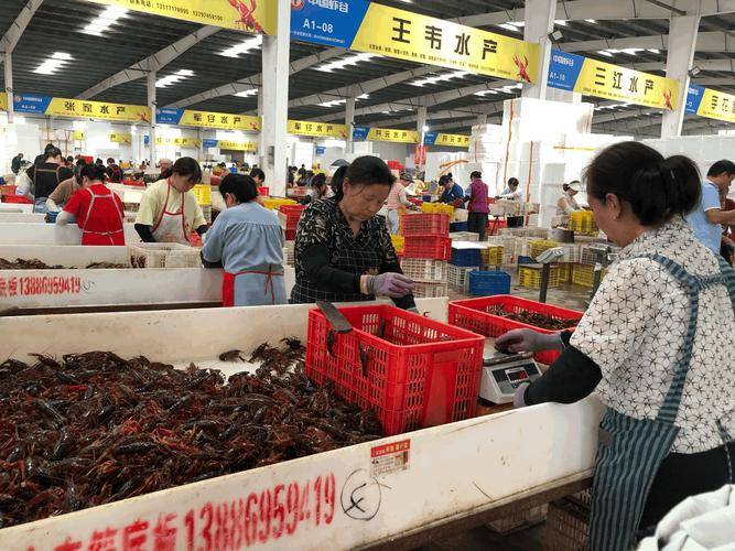 保险有温度,人保车险_2025小龙虾养殖产业深度调研及未来发展趋势预测