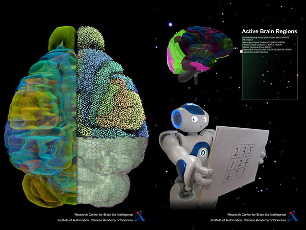 微米级“脑地图”来了！我国科学家在脑图谱研究领域取得新突破