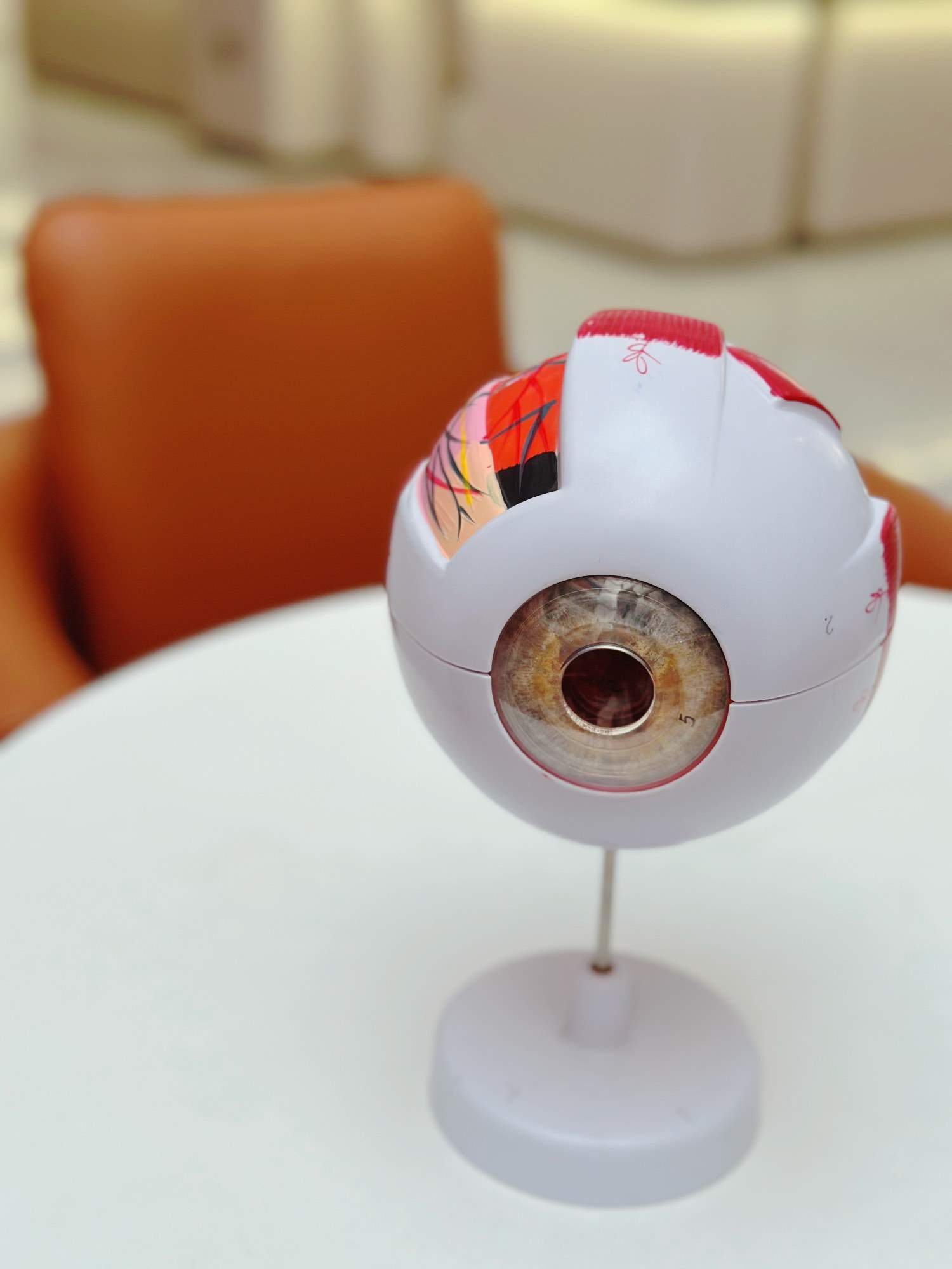 普瑞眼科在成都新设子公司 含医疗服务业务