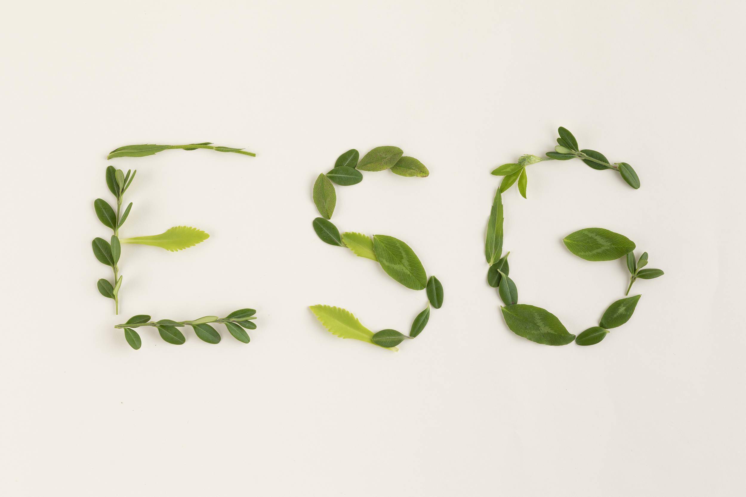 【ESG动态】法兰泰克（603966.SH）获华证指数ESG最新评级CCC，行业排名第376